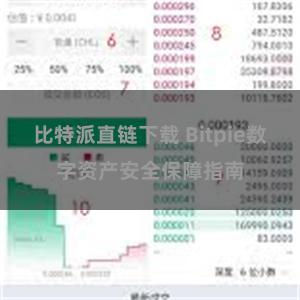 比特派直链下载 Bitpie数字资产安全保障指南