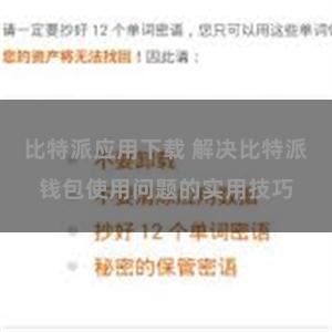 比特派应用下载 解决比特派钱包使用问题的实用技巧