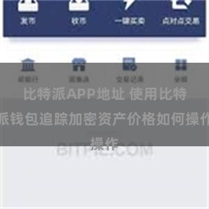 比特派APP地址 使用比特派钱包追踪加密资产价格如何操作