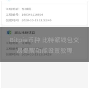 Bitpie币种 比特派钱包交易提醒功能设置教程