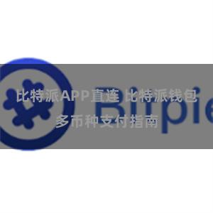 比特派APP直连 比特派钱包多币种支付指南