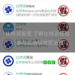 比特派配置 了解比特派钱包，参与区块链社区治理