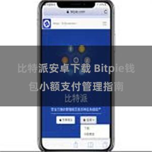 比特派安卓下载 Bitpie钱包小额支付管理指南