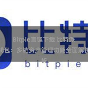 Bitpie直链下载 比特派钱包：多链资产管理功能全面解析