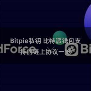 Bitpie私钥 比特派钱包支持的链上协议一览
