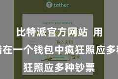 比特派官方网站  用户不错在一个钱包中疯狂照应多种钞票