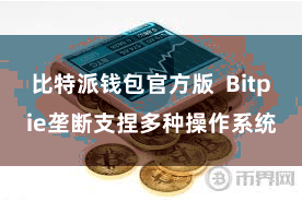 比特派钱包官方版  Bitpie垄断支捏多种操作系统