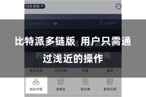 比特派多链版 用户只需通过浅近的操作