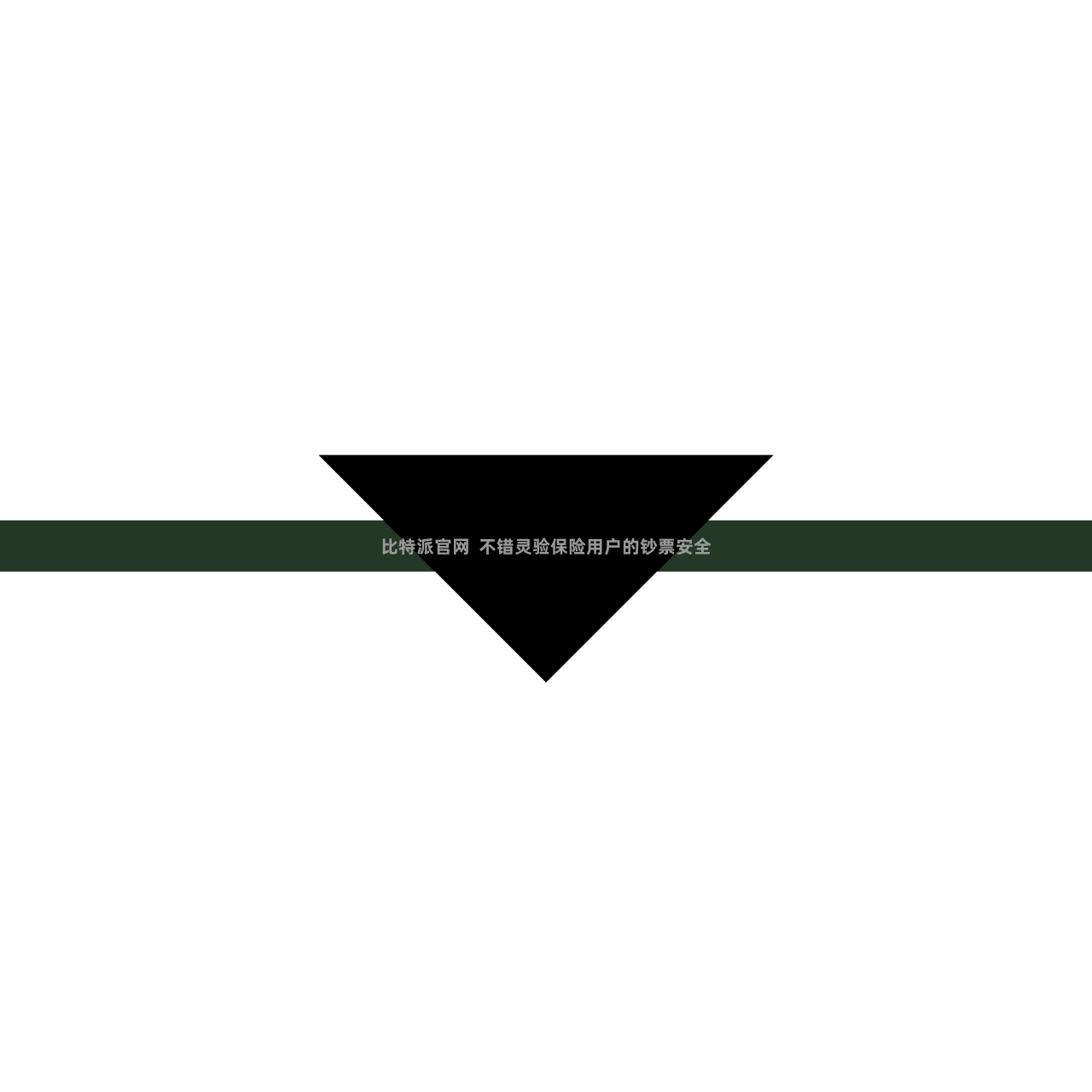 比特派官网  不错灵验保险用户的钞票安全