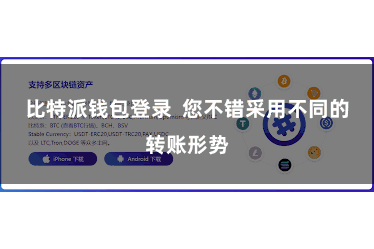 比特派钱包登录  您不错采用不同的转账形势