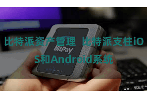 比特派资产管理  比特派支柱iOS和Android系统