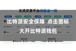 比特派安全保障 点击图标大开比特派钱包
