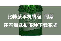 比特派手机钱包  同期还不错选拔多种下载花式